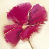 Poppy Power IV