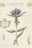 Le Jardin des Fleurs III