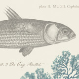 Buy Sea and Shore VI at AllPosters.com