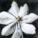 Buy Black And White Digressions I at AllPosters.com