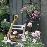Garden Shed Art Print