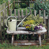 Garden of Yesteryear