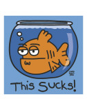 Buy This Sucks at AllPosters.com