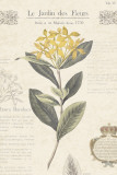 Buy Le Jardin des Fleurs I at AllPosters.com