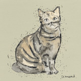 Kitty Tales I