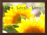 Buy Live Laugh Love: Sunflower at AllPosters.com