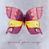 Spread Your Wings