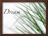 Dream: Reeds