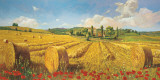 Campagna Toscana