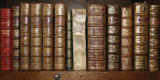 Buy Biblioteca I at AllPosters.com