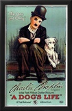 A Dog's Life