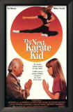 Buy The Next Karate Kid at AllPosters.com