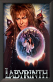 Labyrinth Framed Art Print