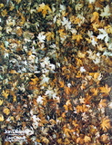 Collage Collectable Print