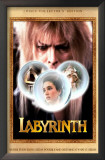 Labyrinth Framed Art Print