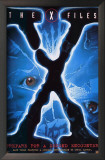 The X Files