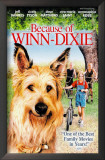 Because of Winn Dixie