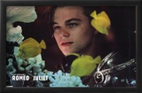 William Shakespeare's Romeo & Juliet