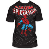 Buy Spider Man - Amazing at AllPosters.com