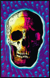Buy Skull Trip at AllPosters.com