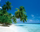 Buy Maldive - Morning at AllPosters.com