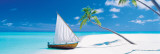 Paradise Found Poster