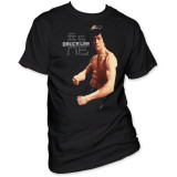 Buy Bruce Lee - Torso at AllPosters.com