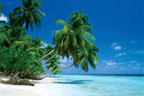 Maldive - Morning