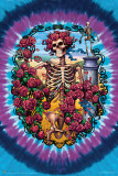 Grateful Dead 30 YR.Anniv