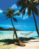 Tropical Beach
