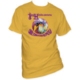 Jimi Hendrix - Are you Experienced