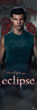 Buy Twilight - Eclipse (Jacob) from Allposters