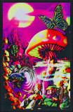 Buy Magic Valley at AllPosters.com