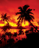 Buy Sunset - In Fiji at AllPosters.com