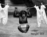 Hangin' Out