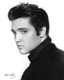 Elvis Presley - Portrait Mini Poster