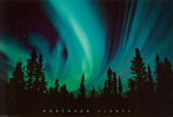 Northern Lights