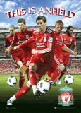 Buy Liverpool - Players 10/11 at AllPosters.com