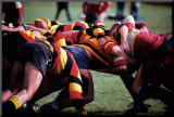 Buy Group Effort: Rugby at AllPosters.com