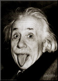Buy Albert Einstein's Birthday Greetings at AllPosters.com