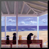 Dogs Eyeview