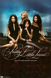 Buy Pretty Little Liars at AllPosters.com