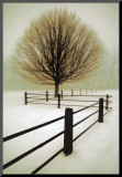 Solitude