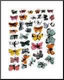Butterflies, 1955
