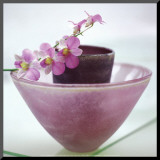 Orchids