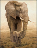 Momma's Boy