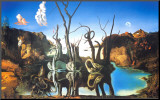 Reflections of Elephants