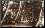 Coconut Lane, Waikiki, Hawaii, 1916