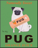 Pug Orange Juice