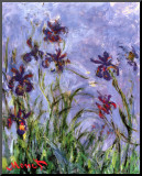 Buy Irises at AllPosters.com